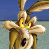 Avatar for romchau