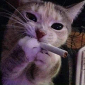 kaites_- 的头像