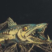 Ragged Barracudas