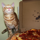 Аватар для pizzadaycat