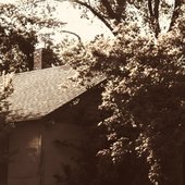 IMG_2862.jpeg