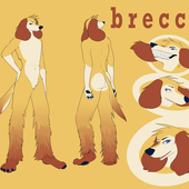 Avatar for br3ccia