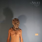 I Salici.jpg