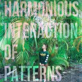 Harmonious Interaction of Patterns - Fohrenbach (2018)