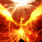 Avatar de phoenix455