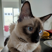 Alexbbx 的头像
