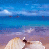 tenor (3).gif