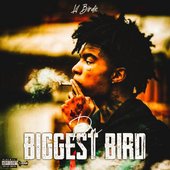 Da Biggest Bird