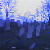 lexidied 的头像