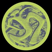 Carpet Shark - EP