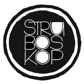 Avatar for Struboskop