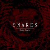 S N A K E S (feat. Kayra) - Single