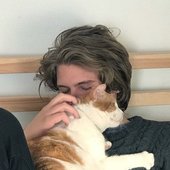 cat.jpg