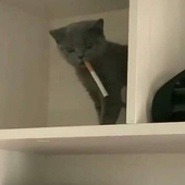 nminty 的头像