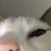 VikVik_OwO 的头像