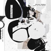 Songs Of The Retina