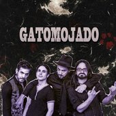 Los chicos de gatomojado