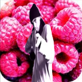 FreddyRaspberry 的头像