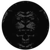 Avatar for ethandewit
