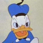 Like_SonicYouth 的头像