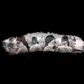 Doxa band