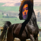 Damon Free on a Horse