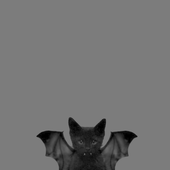 Avatar for M4tt0zzz