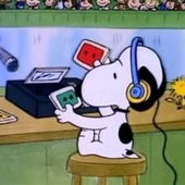 Rooooooobert 的头像