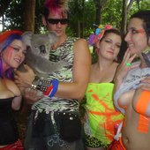 team plastique starring a koala.jpg