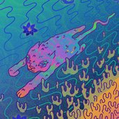 coral