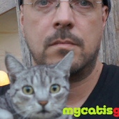mycatisgreen and grey