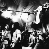 Acid Seven