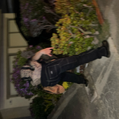 jamessux 的头像