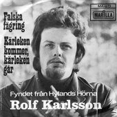 Falsk fägring - Single