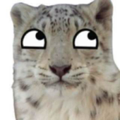 Avatar for ItsWeirdCat