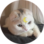 LastFM profile picture for @osha