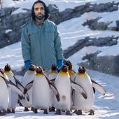 Shah iced out