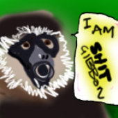 Avatar for sh1tGIBbon