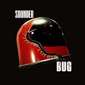 Bug