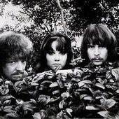 The Sunshine Company