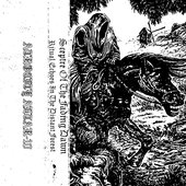 Ritual Echoes In The Distant Forest