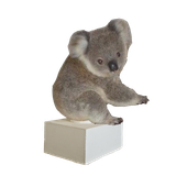 Avatar for Koala_Monkey