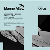 Augmented 016 / Analog Jungs