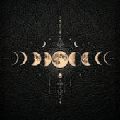 channels4_profile (1).jpg