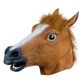 Horse_MD için avatar