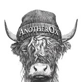 AnotherOx Image 01.jpg