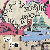 2x4 Split