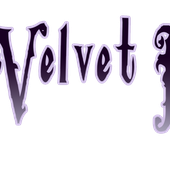 Black Velvet Butterfly Image