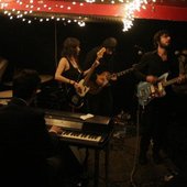 The Shorebirds