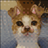 janifurry 的头像